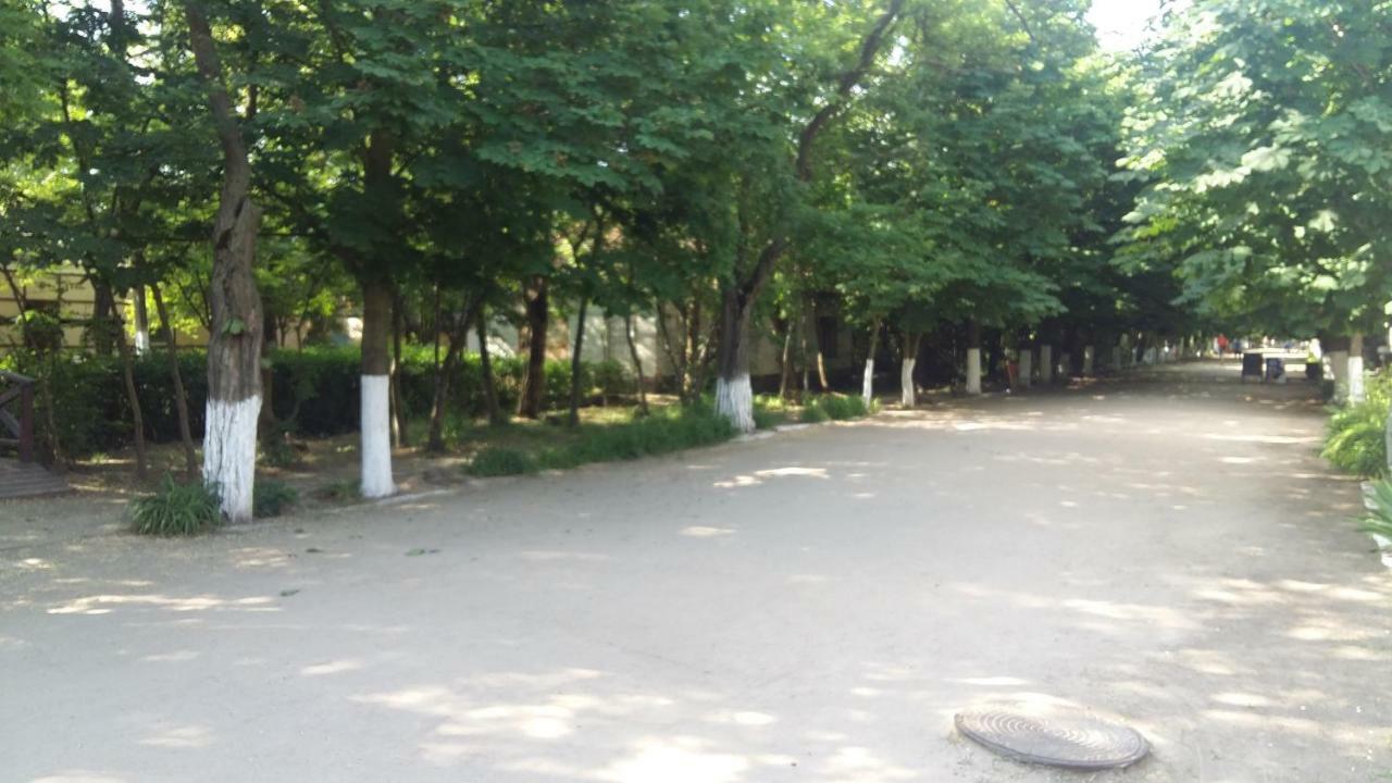 Otel Elena 쿠로르트네 외부 사진